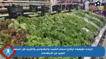 «زيادة حقيقية» ارتفاع أسعار الشبت والبقدونس والكزبرة هل تستمر المزيد من الارتفاعات